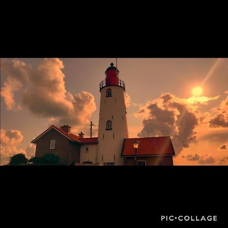 Gastenverblijf De Paddestoel อูร์ค ภายนอก รูปภาพ